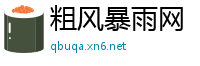 粗风暴雨网